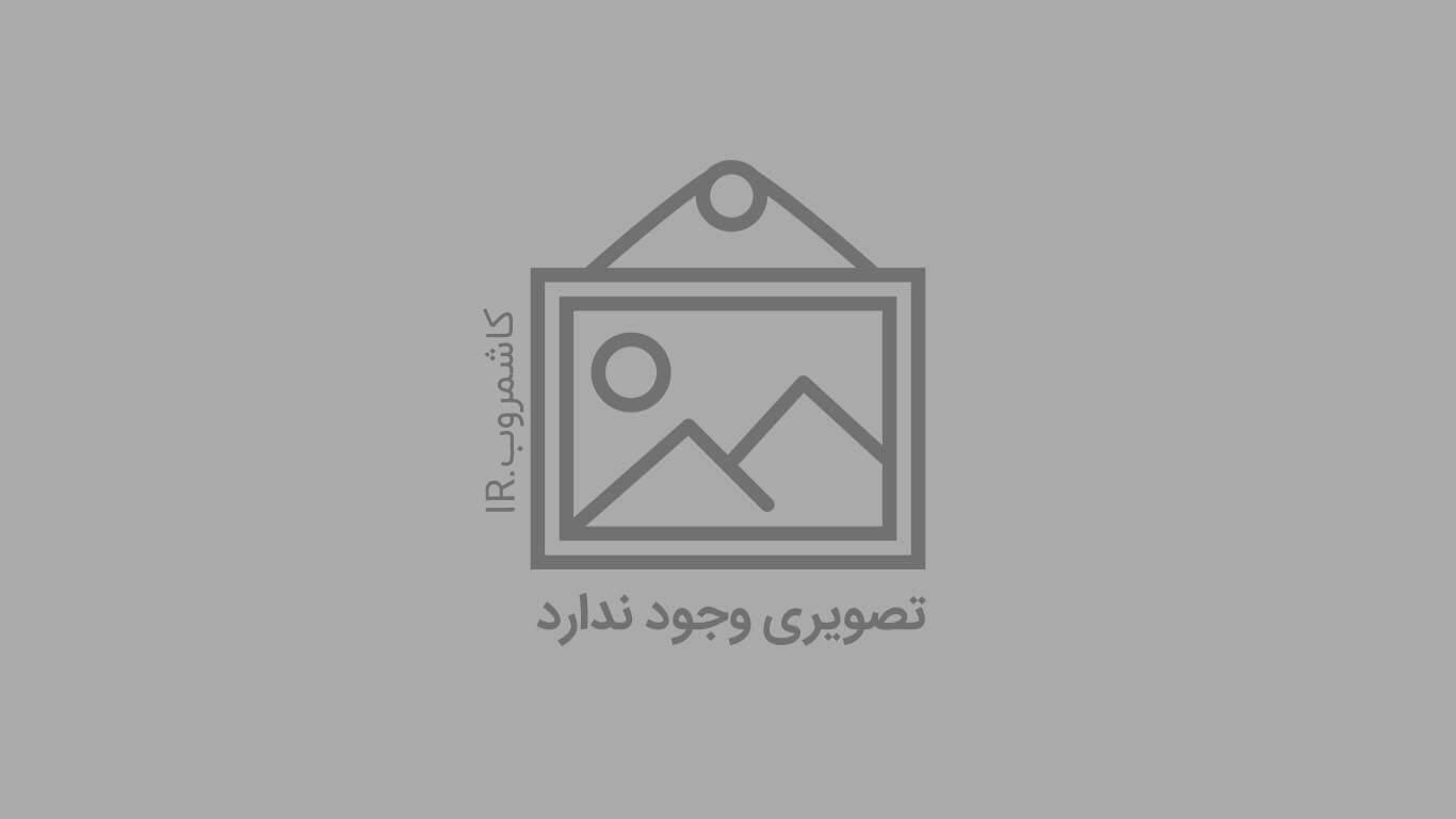 مراسم جاماندگان اربعین در اردبیل