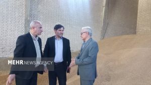 نمین در مسیر جهش کشاورزی؛ از افزایش تولید گندم تا کاشت کاملینا