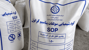 پرداخت یارانه کودهای فسفاته و پتاسه به کشاورزان اردبیل؛ واریز خودکار به حساب واجدین شرایط