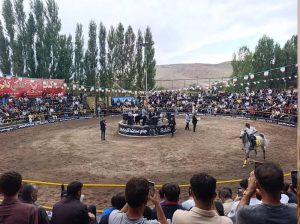 جشنواره ملی شو سواره در نیر؛ حضور ۱۰۰ اسب اصیل از ۲۰ استان