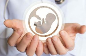نرخ باروری در خلخال به یک رسید؛ رئیس دانشگاه علوم پزشکی خواستار حمایت‌های جمعیتی شد