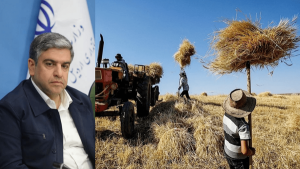 پرداخت ۶۰ درصد مطالبات گندم‌کاران اردبیل و تسویه ۴۰ درصد تا پایان ماه