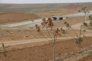 تأکید دیوان محاسبات اردبیل بر رعایت ضوابط قانونی در واگذاری اراضی پایاب سد خداآفرین