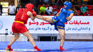 نایب‌قهرمانی تیم بیمه میهن اردبیل در دور رفت لیگ برتر ووشو نونهالان و نوجوانان کشور